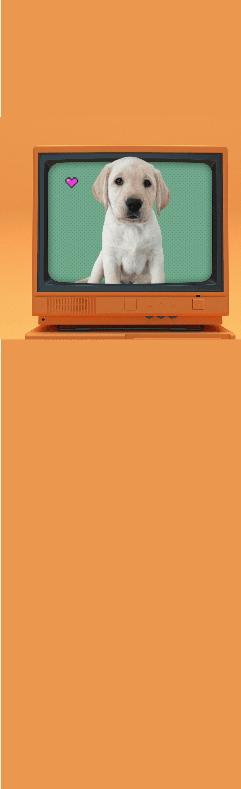 Didier le chien